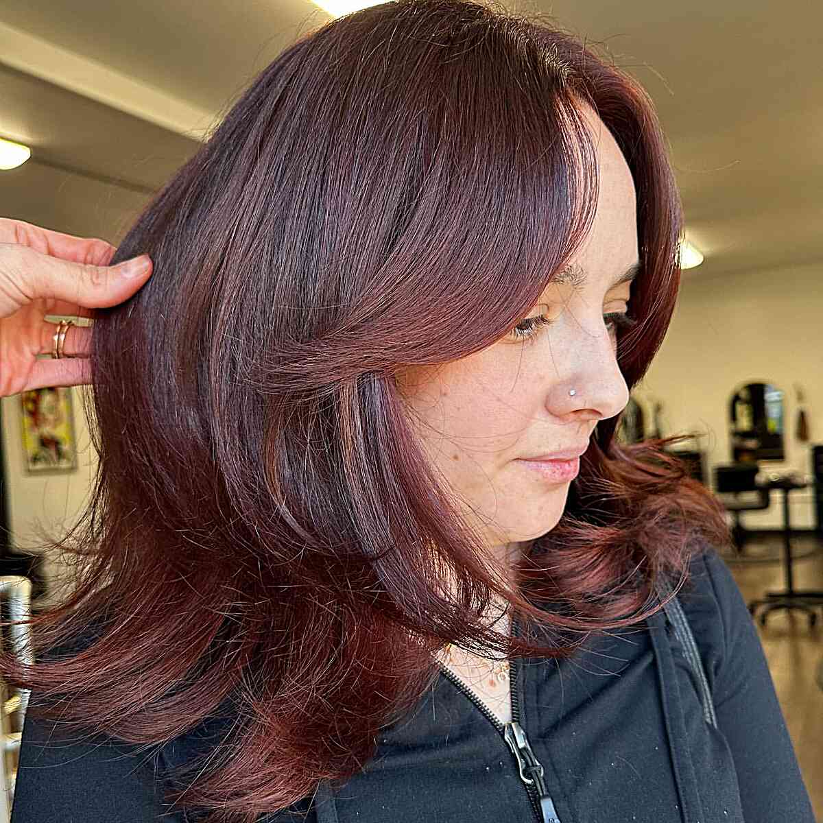 Chocolate Short Hair with Reddish Brown Hues