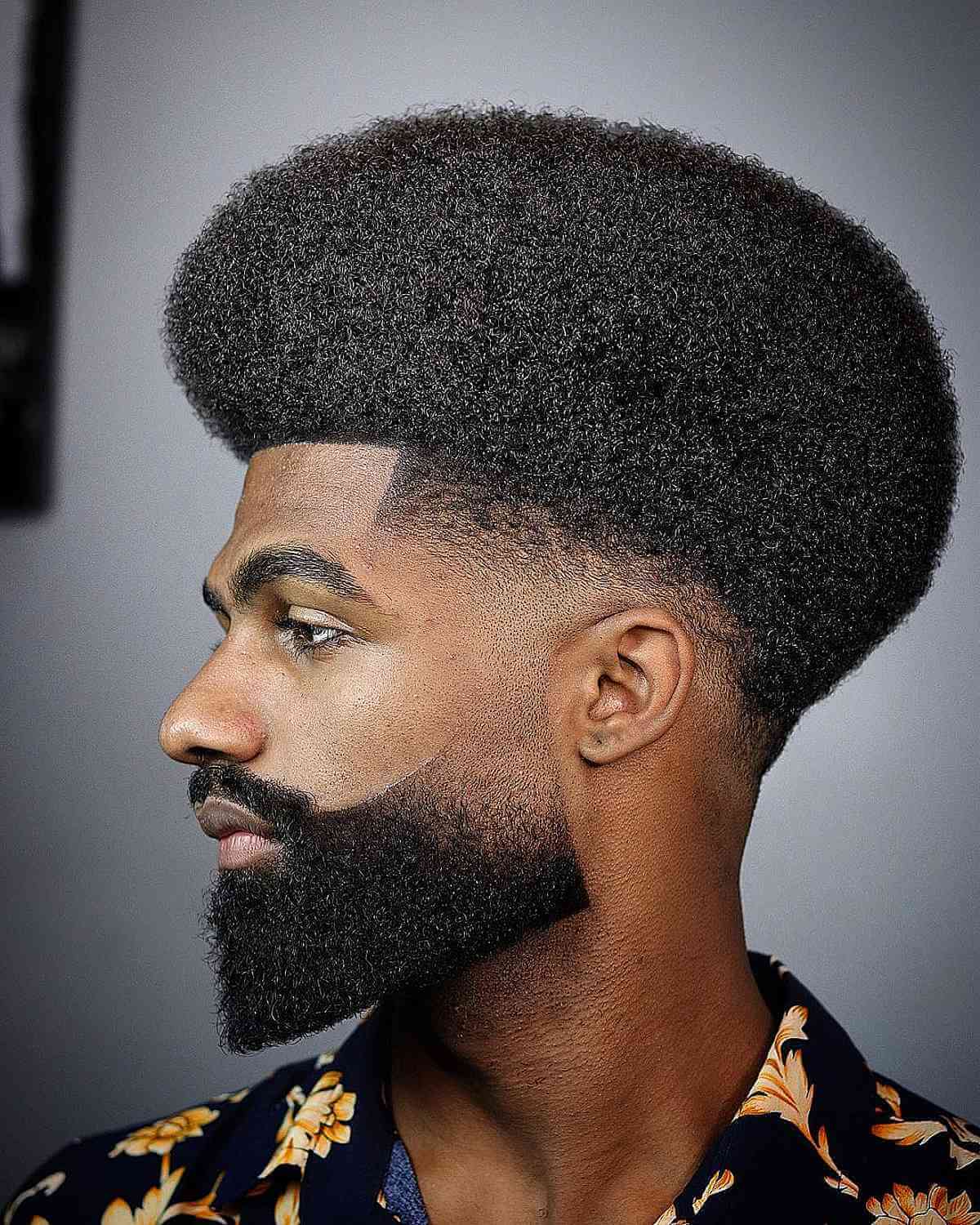 Curly Afro with a Stylish Beard Fade for Black Men