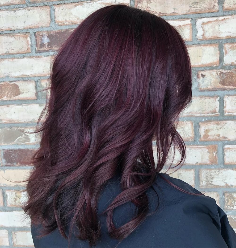 Delightful Plum Burgundy Hair Shade