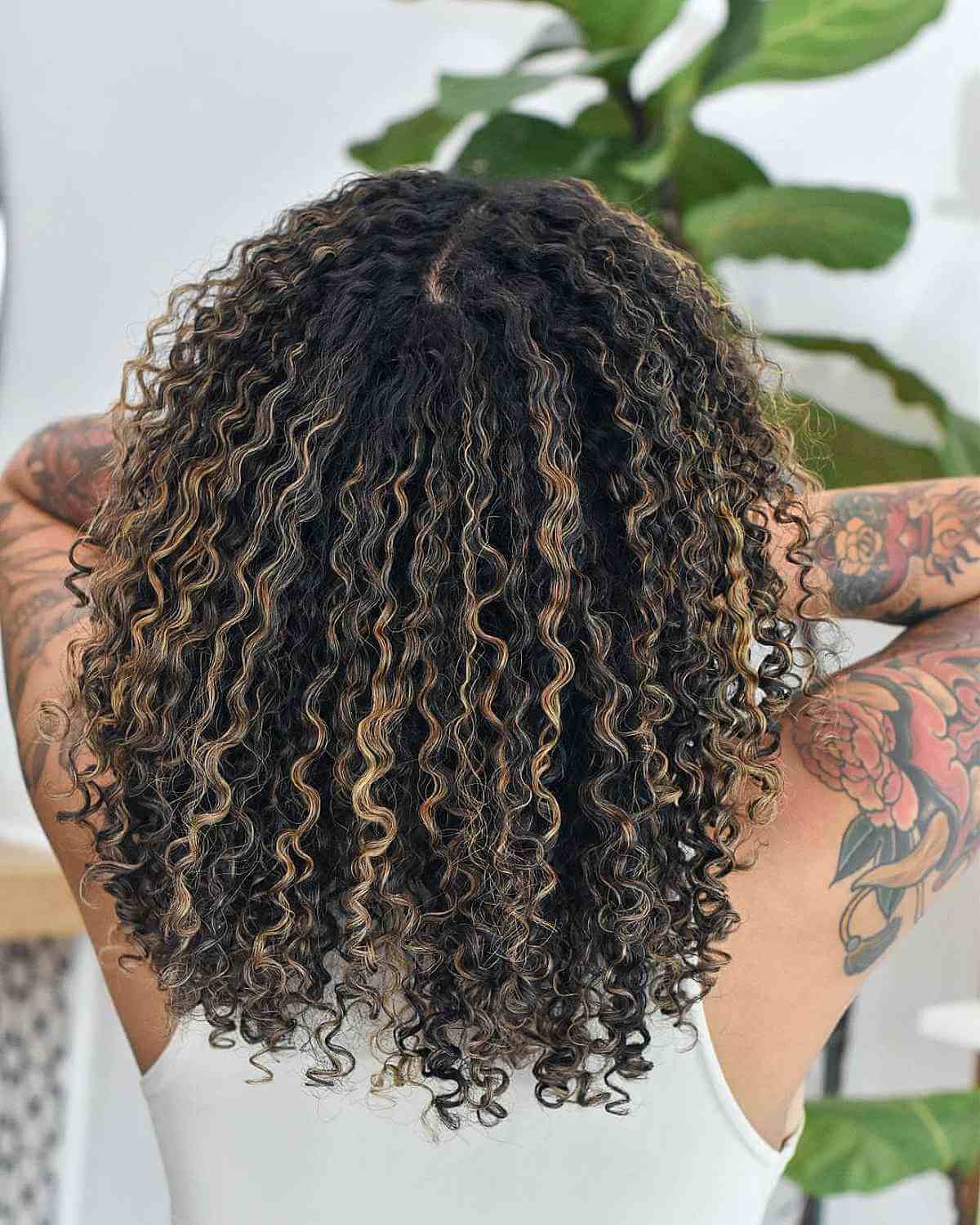 Honey Blonde Highlights on Black Hair