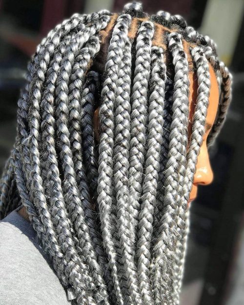 Silver Box Braids at Collarbone Length