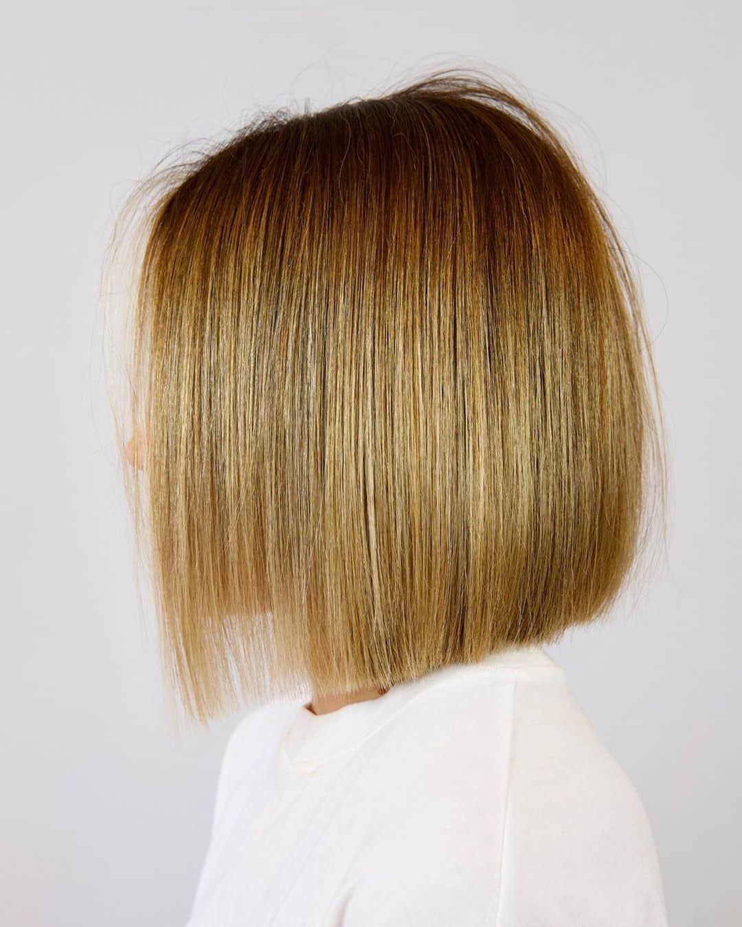 Sleek Blunt Cut for Fine Straight Hair