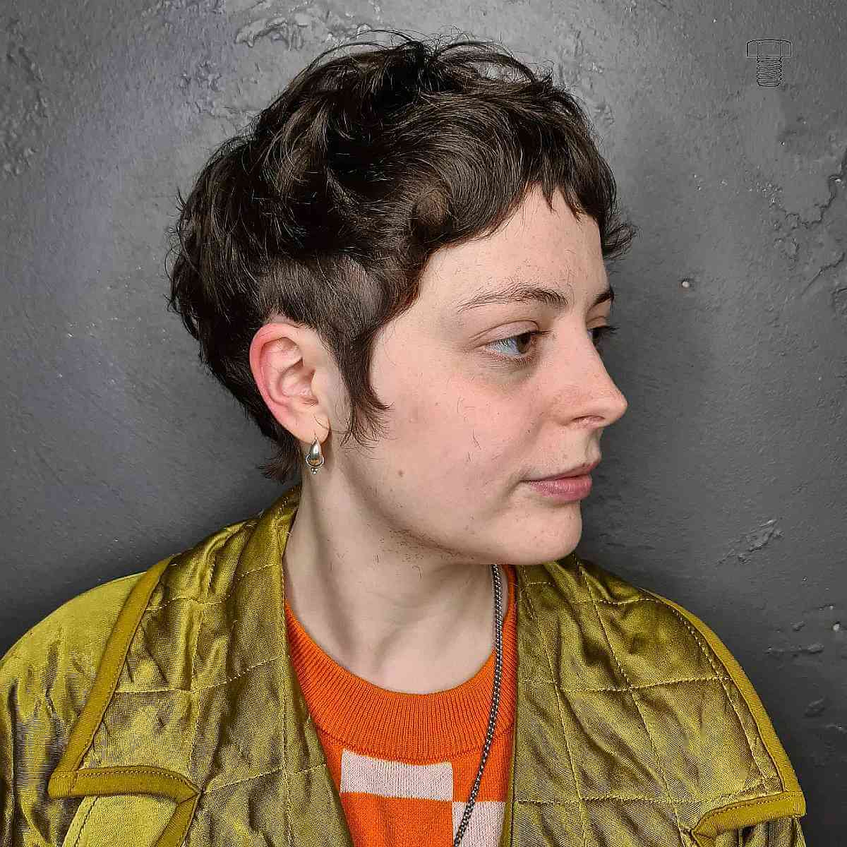 Textured Pixie Shag for Fine Hair Types