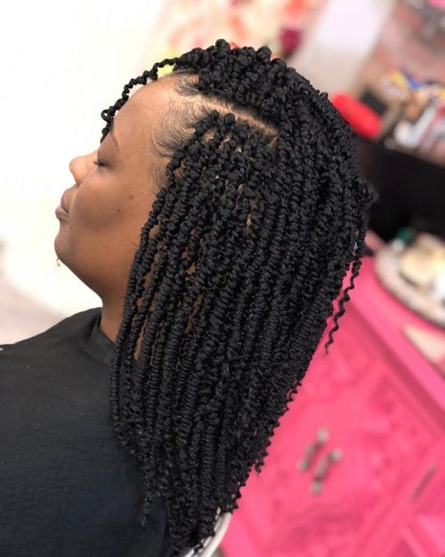 Vibrant spring twist braids