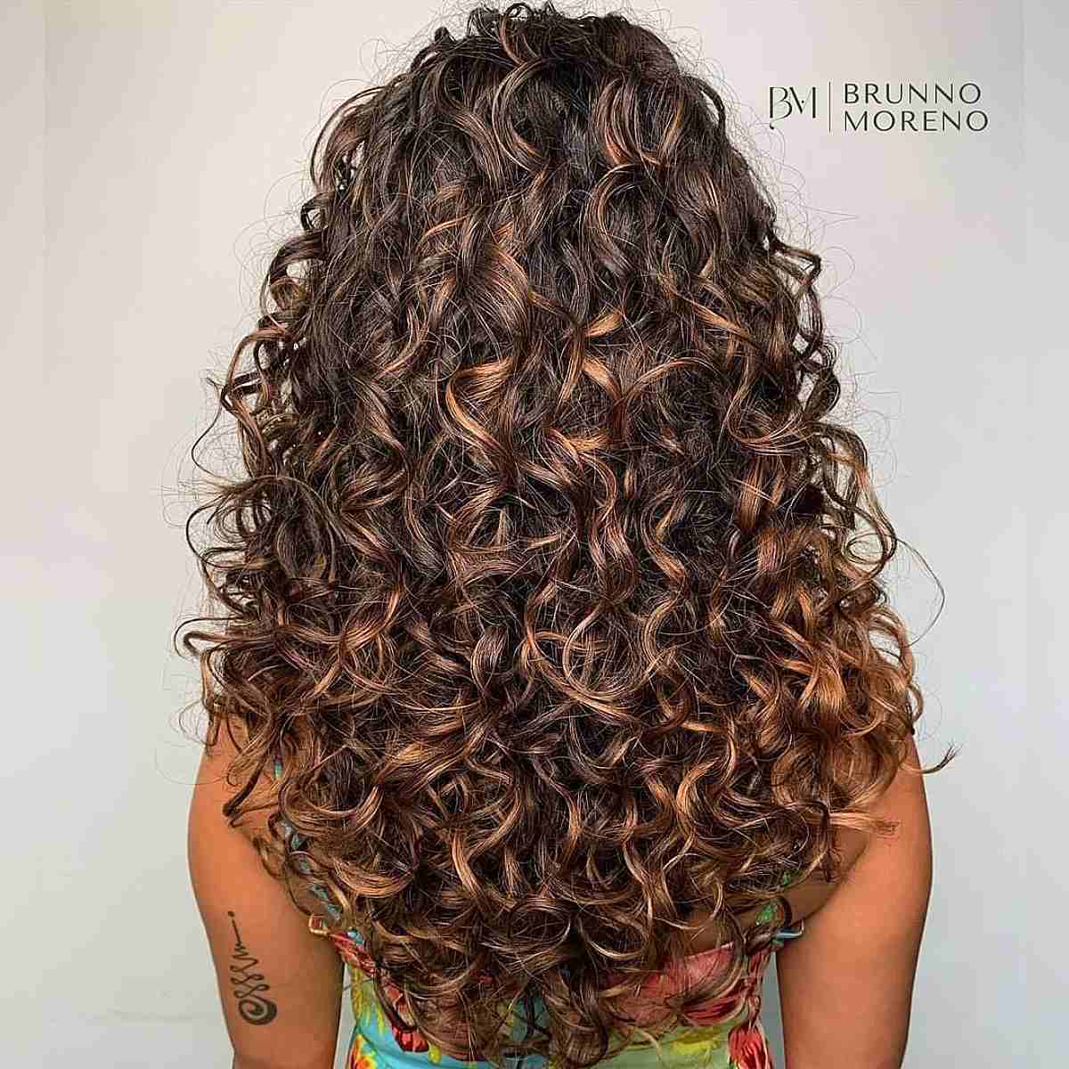 Natural Loose Curls with Light Brown Accents