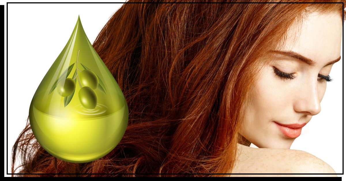 Olive oil for your hair