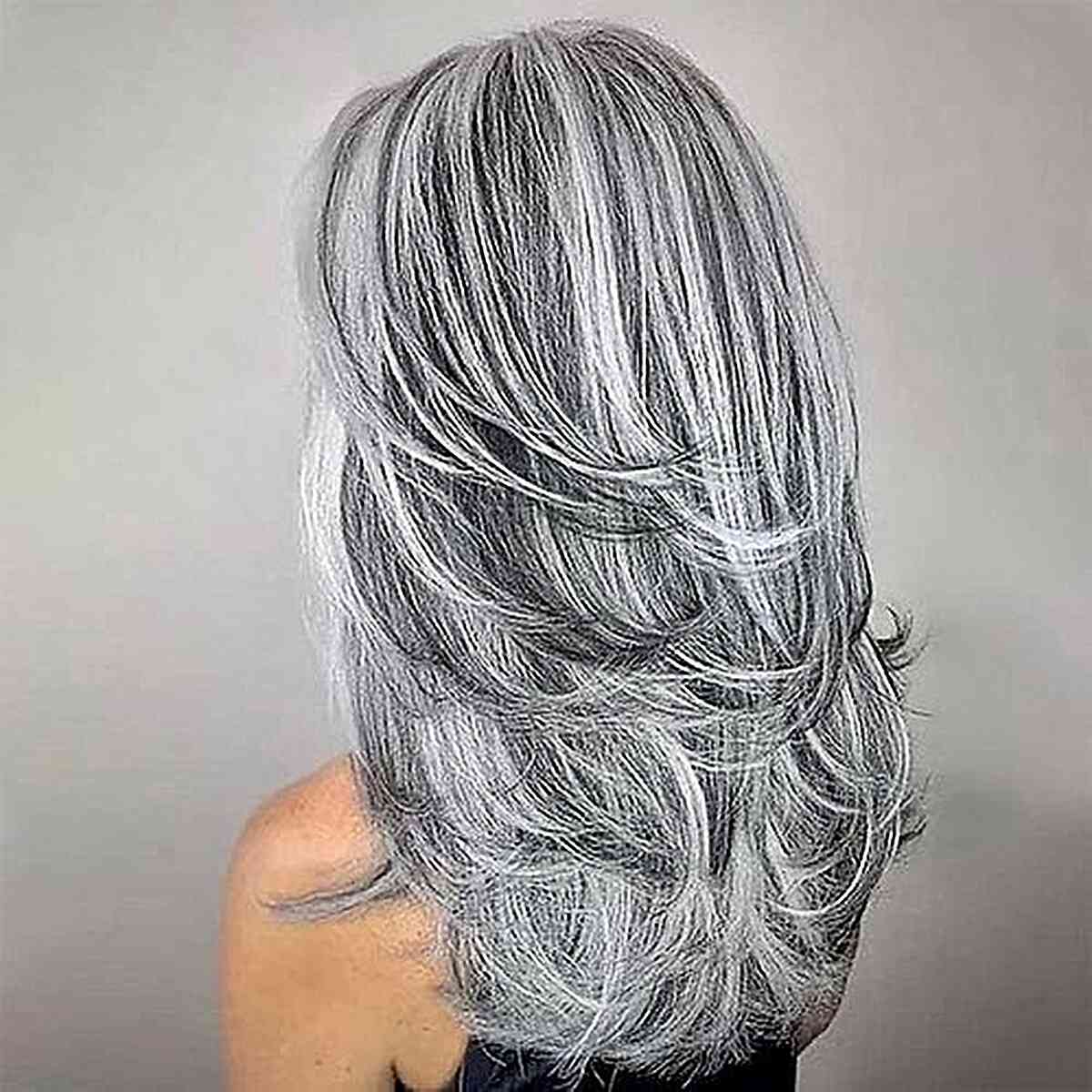 48 Stunning Silver Hair Color Ideas for 2023
