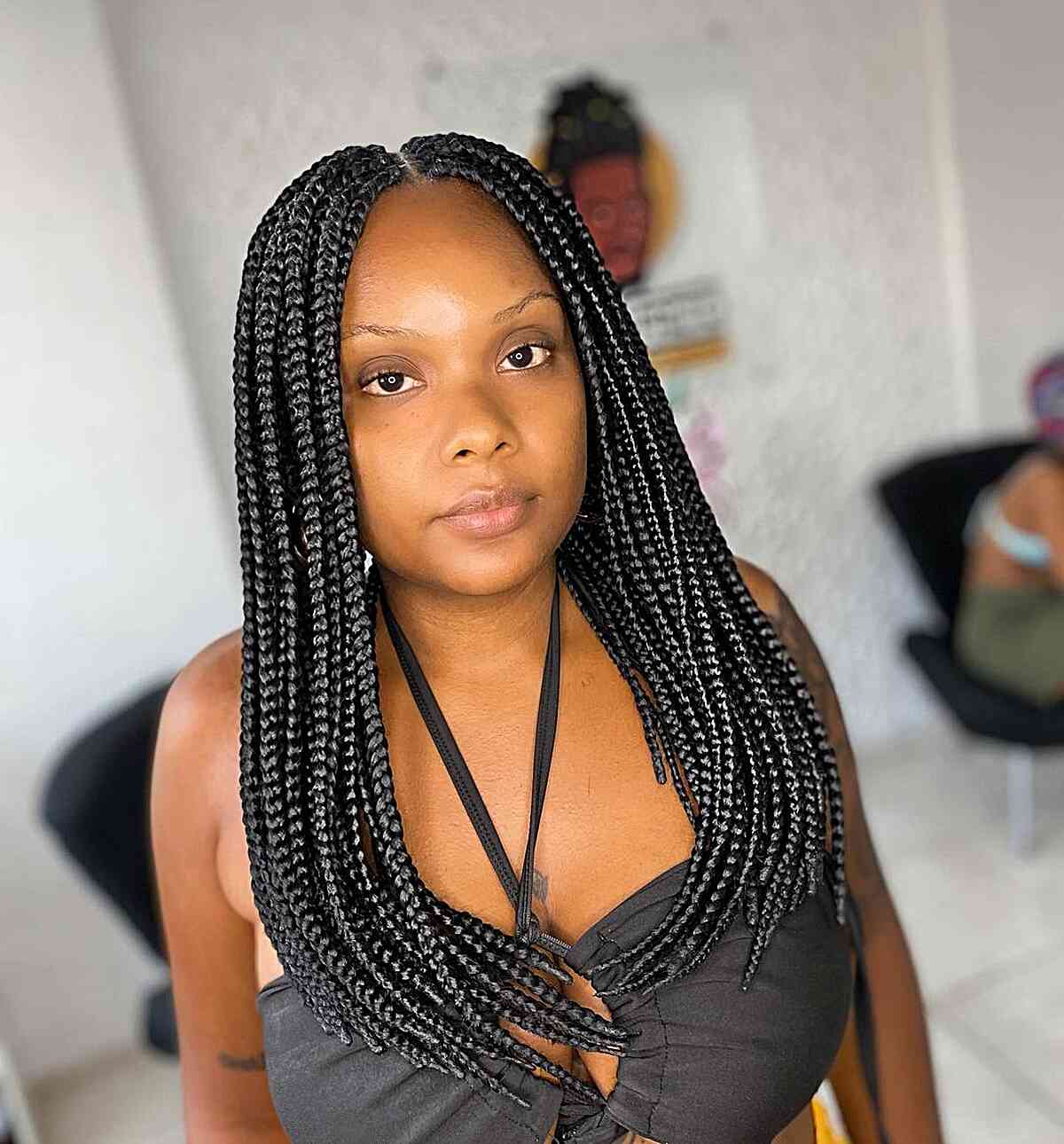 Protective Gorgeous Braids with a Middle Part