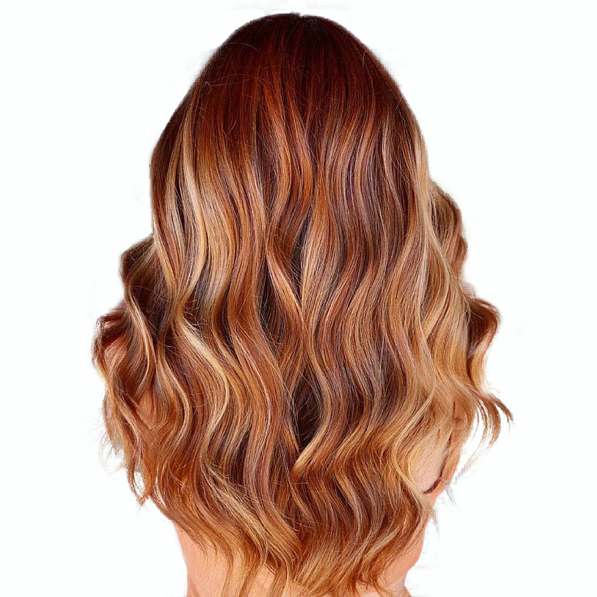 Long Middle Part Curly Natural Hair Color with Caramel Blonde
