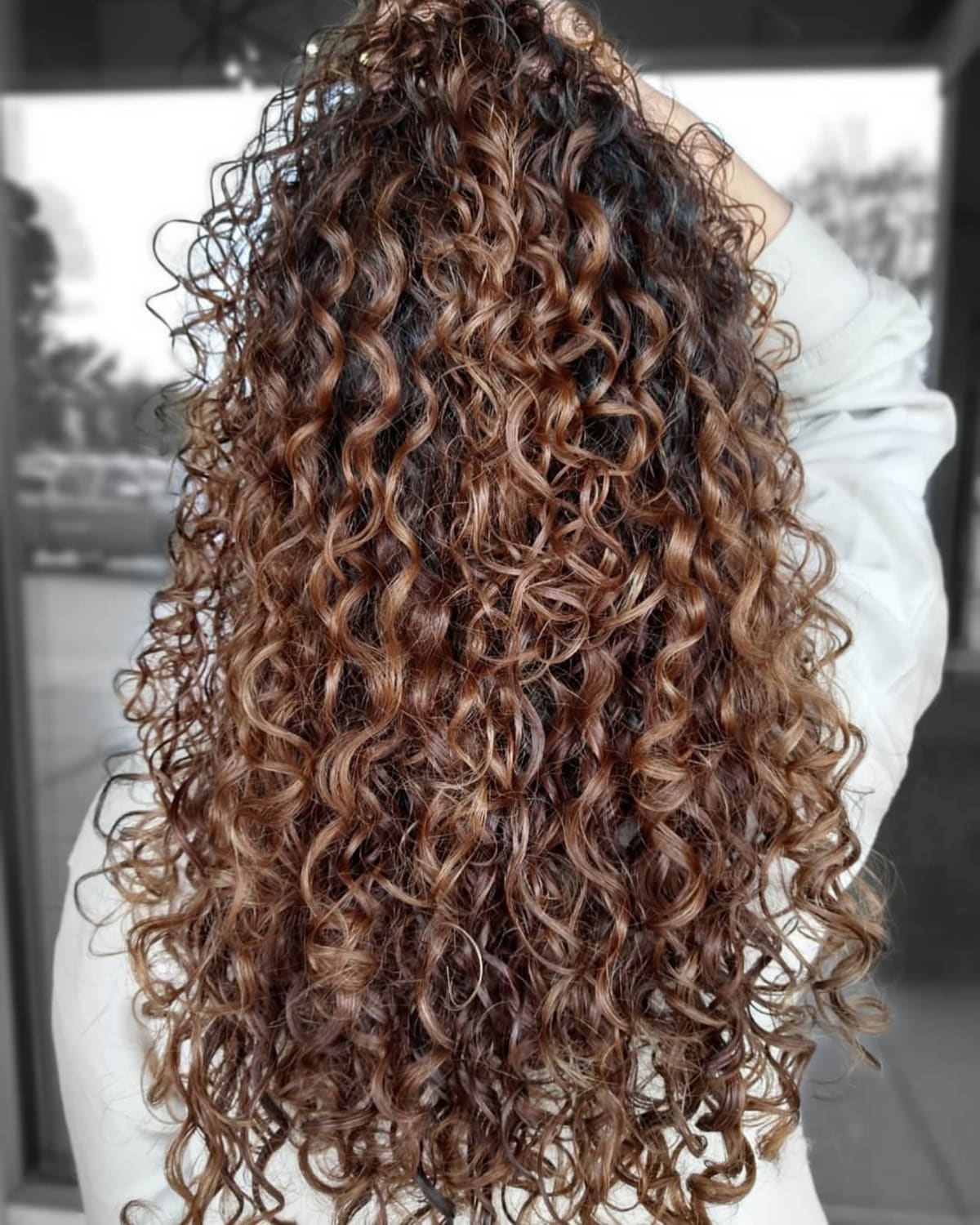 Rich brown balayage for natural curls