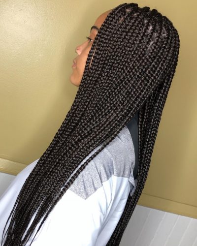 27 Best Long Box Braids Hairstyles for 2022