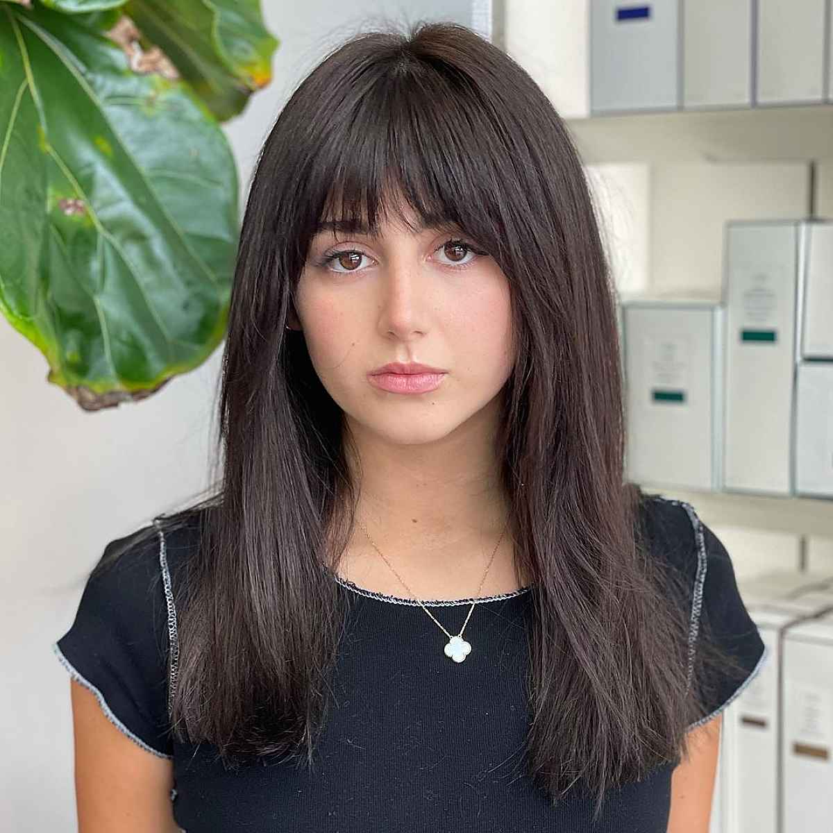 Solid & Silky Chocolate Brown with Bangs