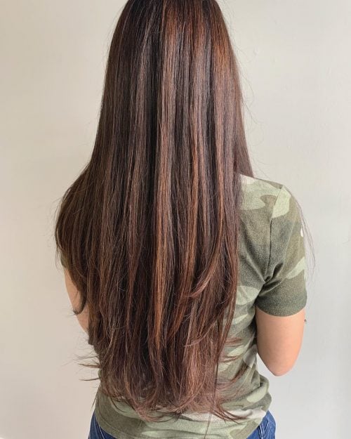 Long and Straight Brown Hair with Caramel Highlights