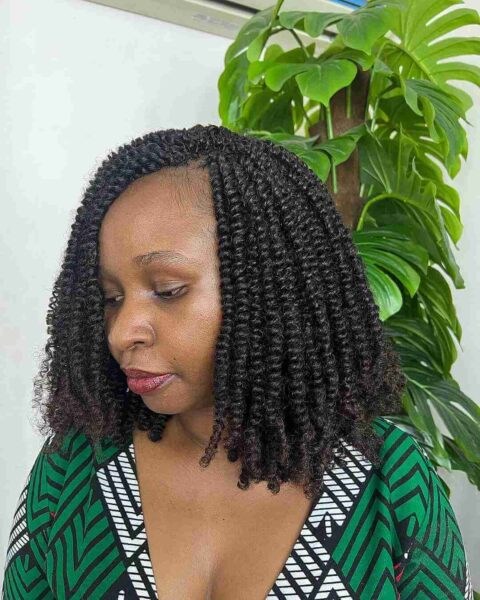 Kinky Twists: 20 Hottest Ways to Get It In 2024