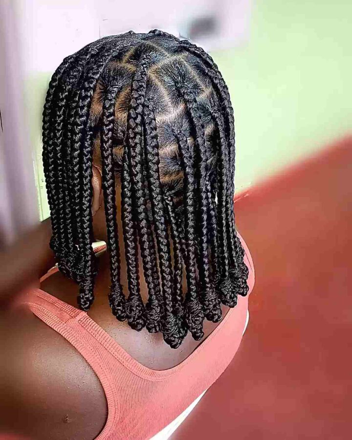 27 Stunning Knotless Braids You Cant Ignore This Year 9540